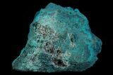 Turquoise Blue, Botryoidal Chrysocolla - Congo #69788-1